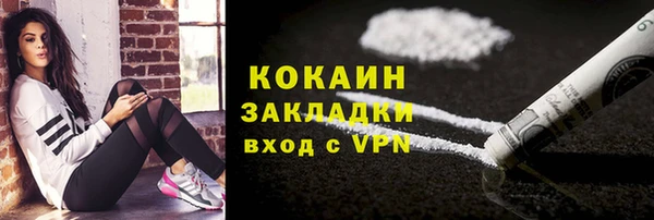 гидра Михайловск