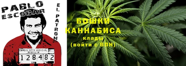 гидра Михайловск
