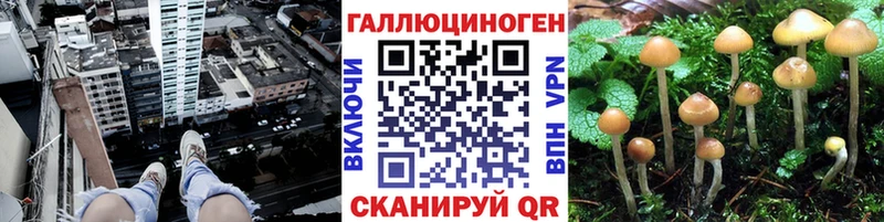 Галлюциногенные грибы прущие грибы  Купить  Борзя 